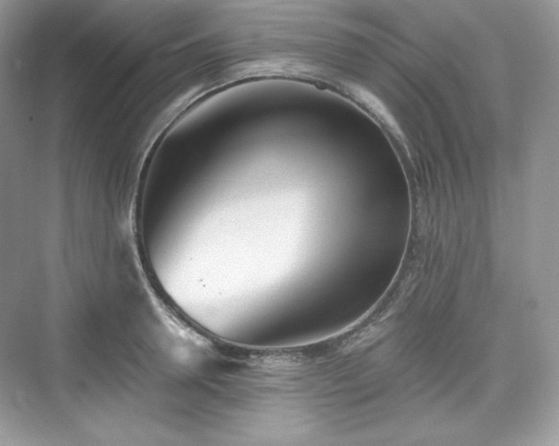 X0000076060946200609291222