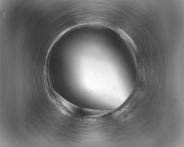X0000076060956200609291222