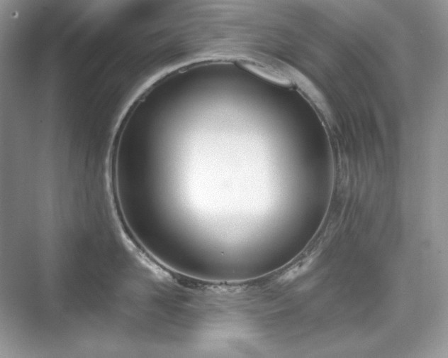 X0000076060958200609291222