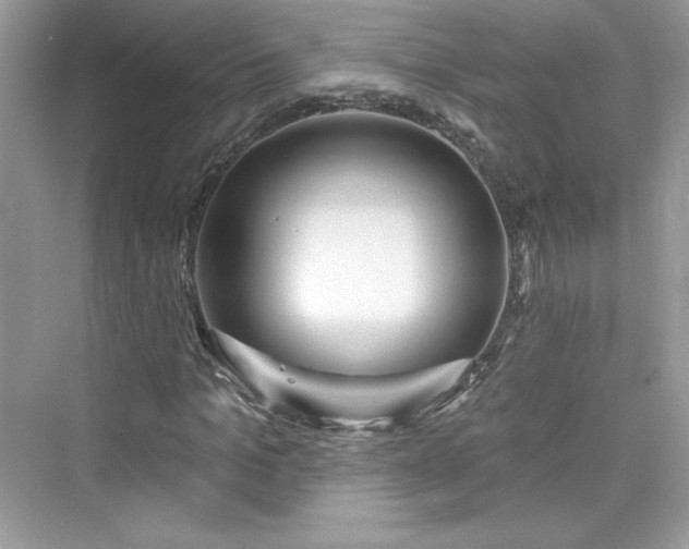 X0000076060965200609291221