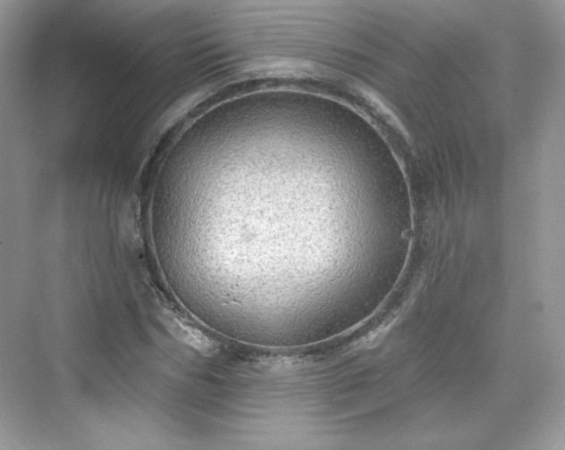 X0000076060970200609291221