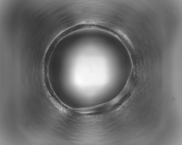 X0000076060976200609291221