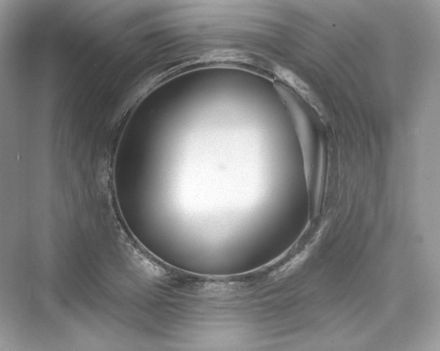X0000076060985200609291221