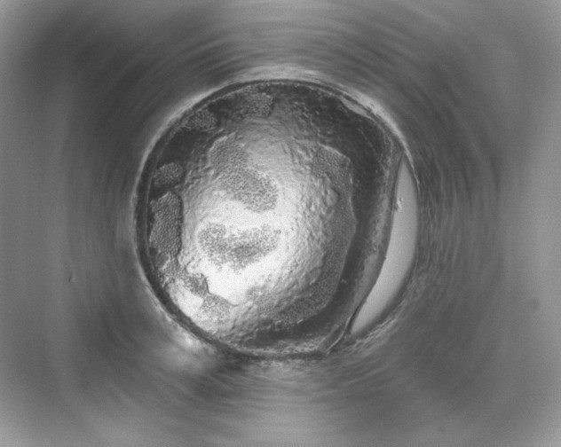 X0000076060995200609291220
