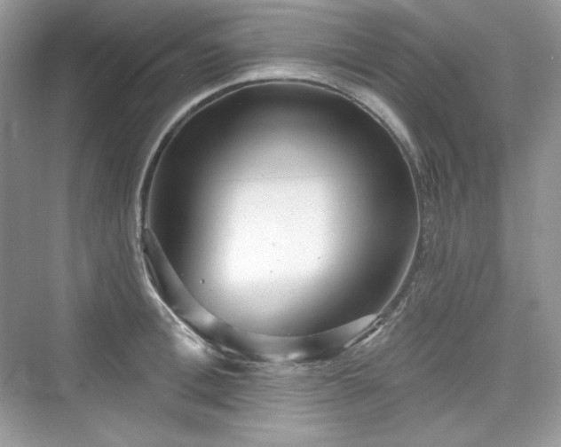 X0000076060996200609291220