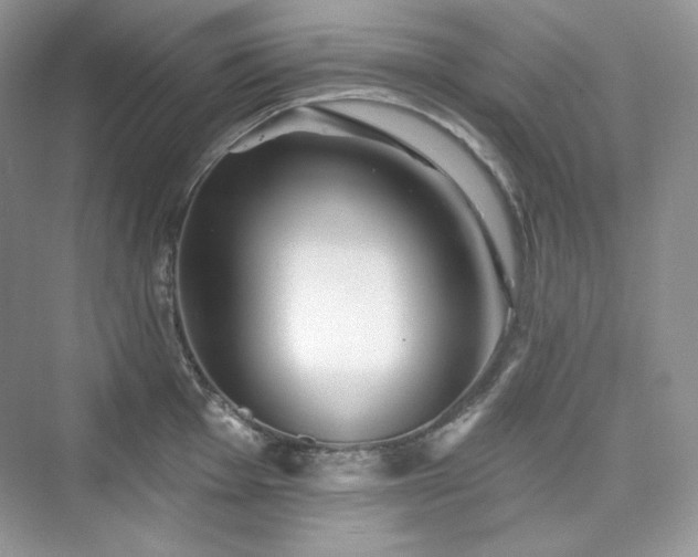 X0000076061001200609291220