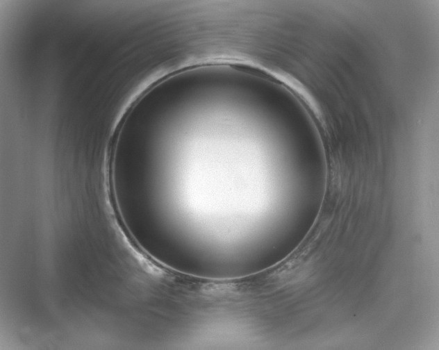 X0000076061006200609291220