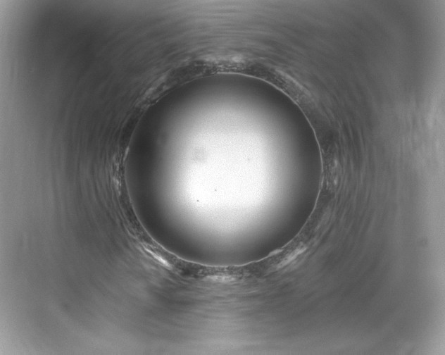 X0000076061010200609291219