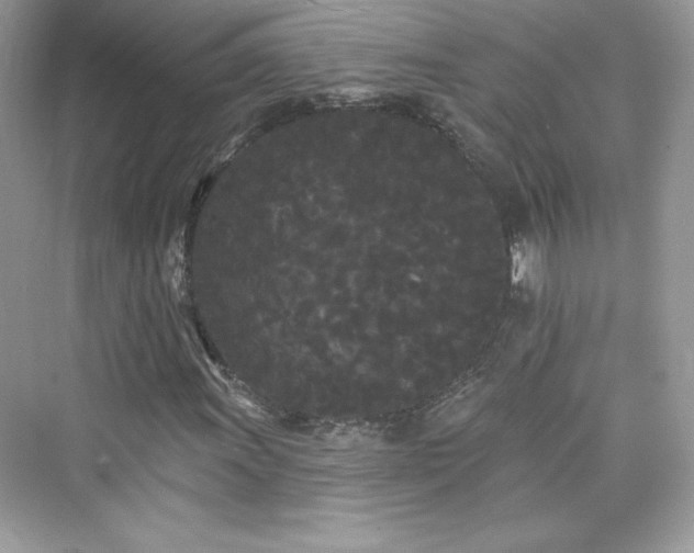 X0000076061011200609291219