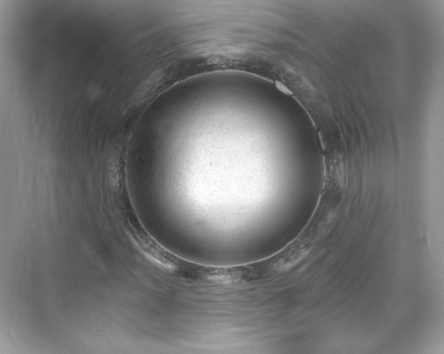 X0000076061012200609291219
