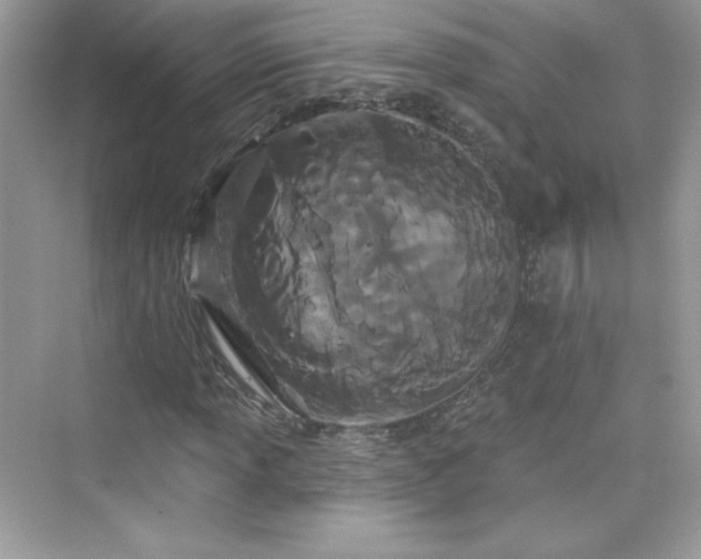 X0000076061013200609291219