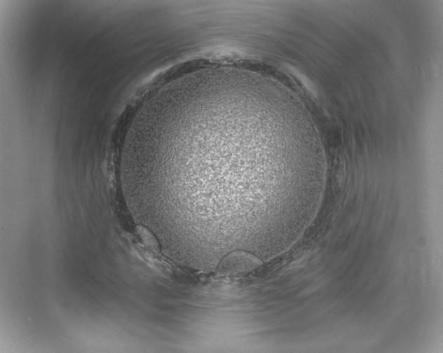 X0000076061016200609291219