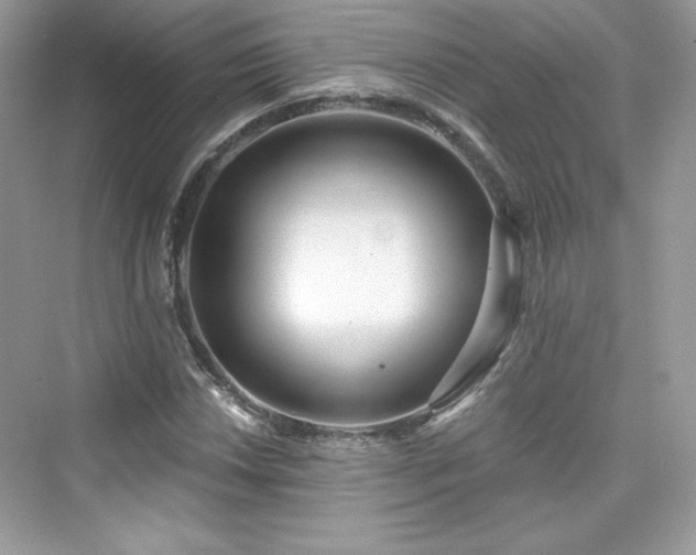 X0000076061018200609291220