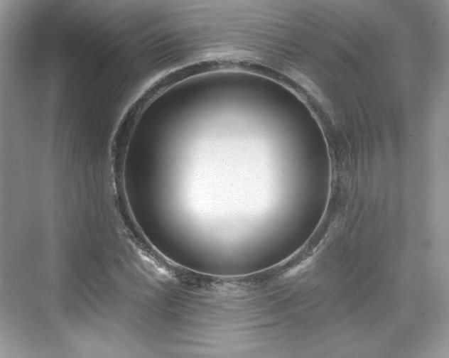 X0000076061022200609291220