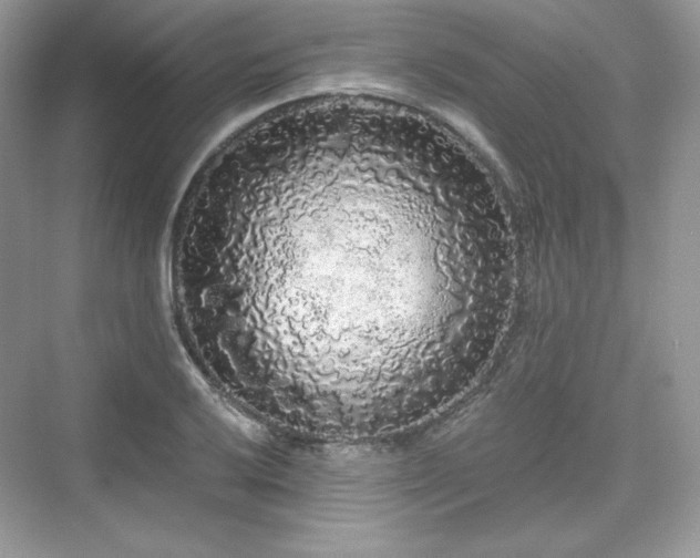 X0000076061032200609291220