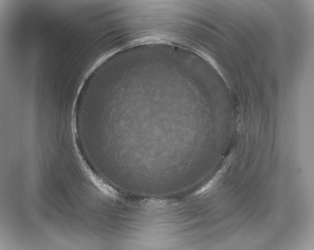 X0000076061034200609291220