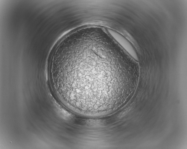 X0000076061036200609291220