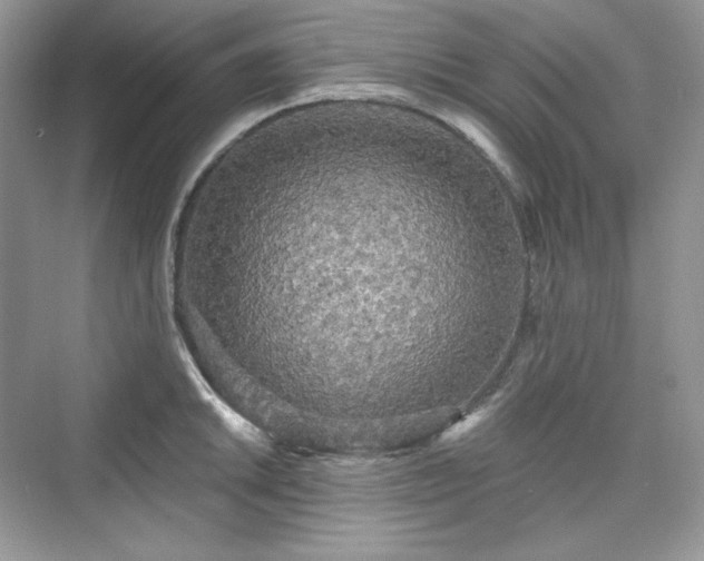 X0000076061046200609291220