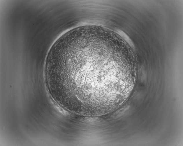 X0000076061052200609291220