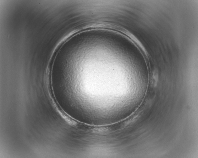 X0000076061053200609291220
