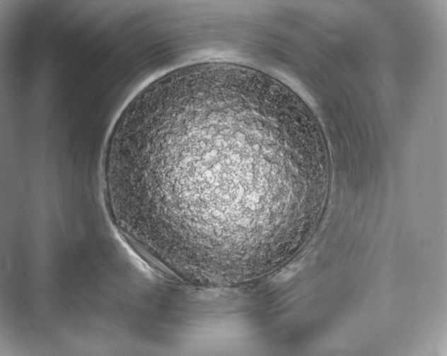 X0000076061056200609291220