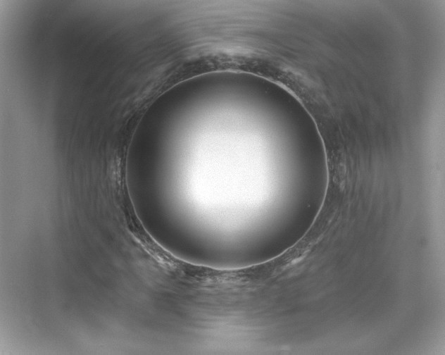 X0000076061061200609291219