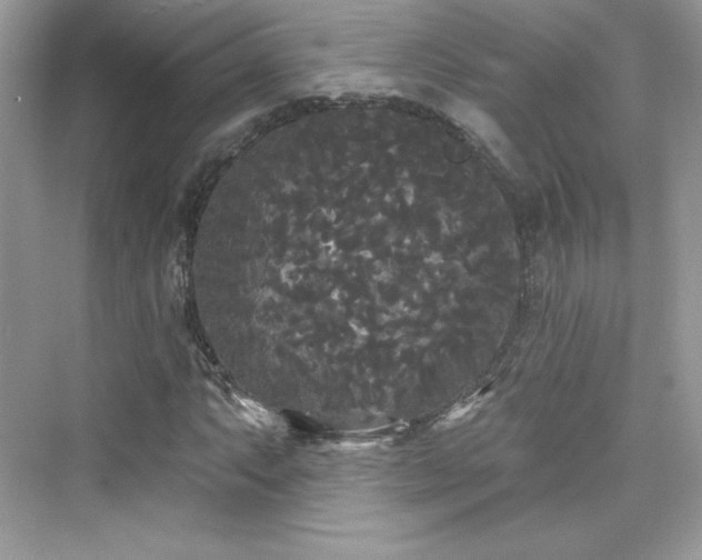 X0000076061063200609291219
