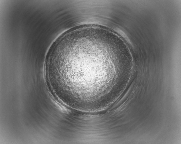 X0000076061076200609291219