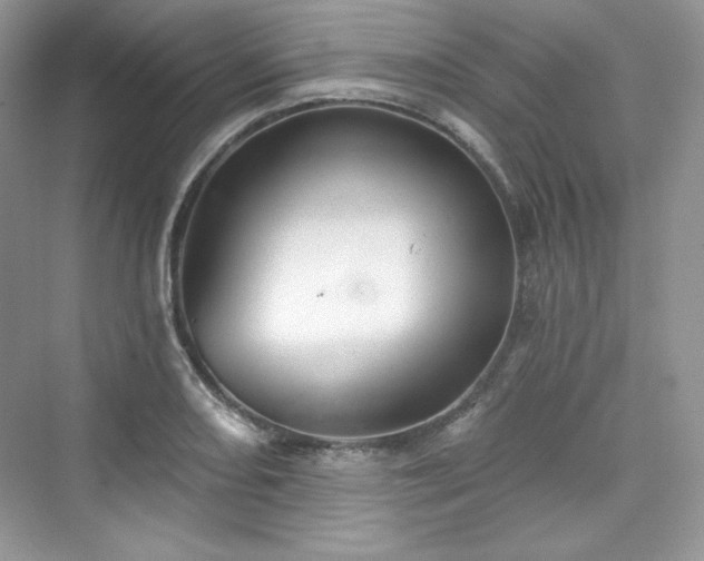 X0000076061082200609291219