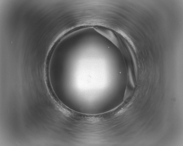 X0000076061085200609291219