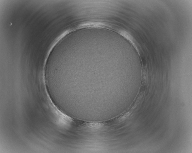X0000076061090200609291219