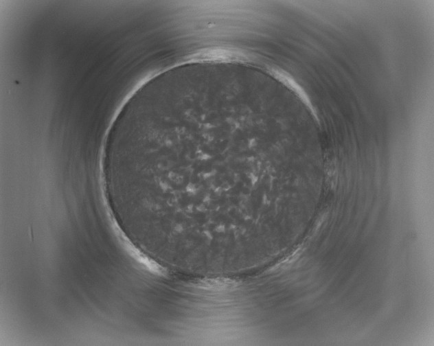X0000076061091200609291219