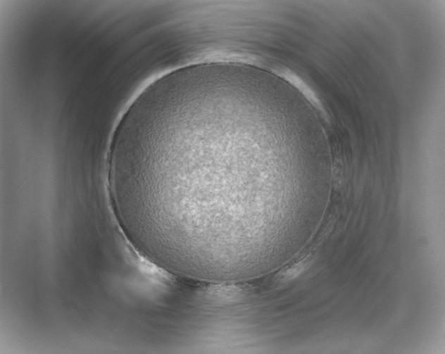 X0000076061094200609291219