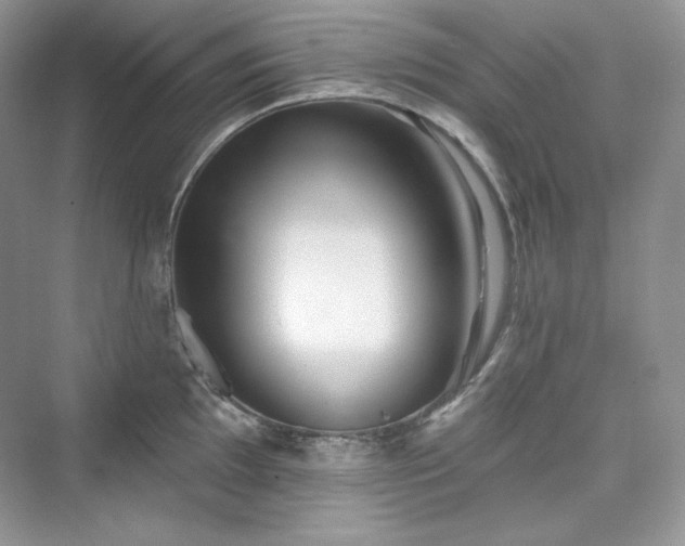 X0000076061097200609291219