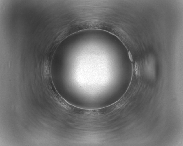 X0000076061107200609291218
