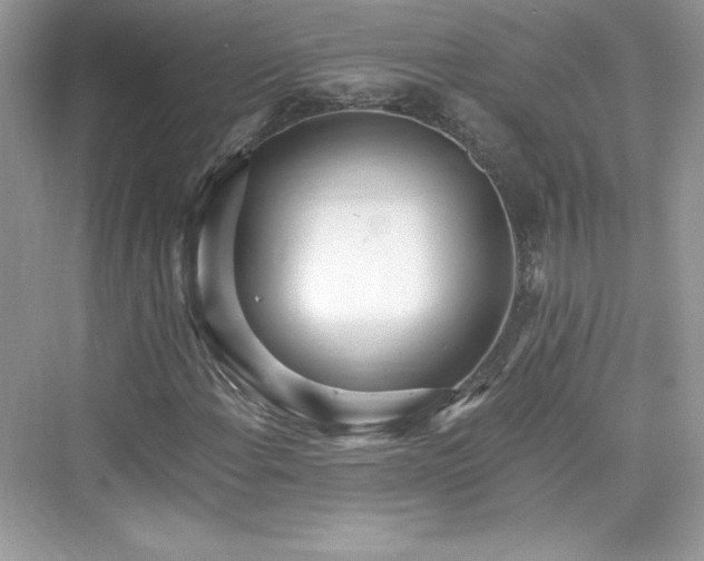 X0000076061108200609291218