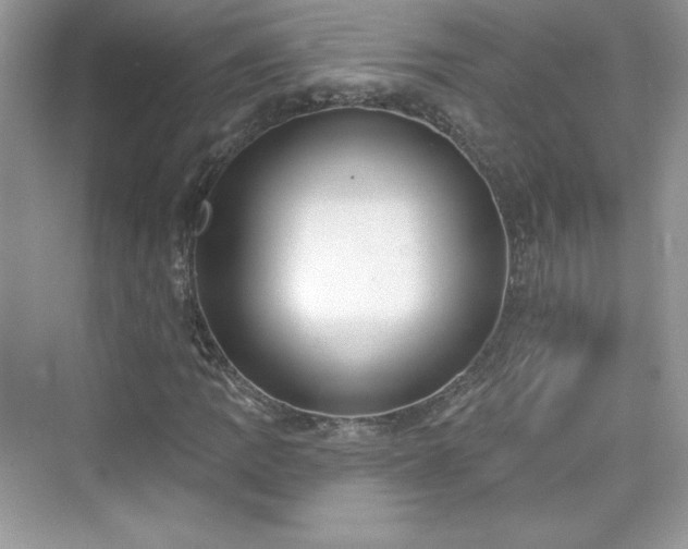 X0000076061109200609291218