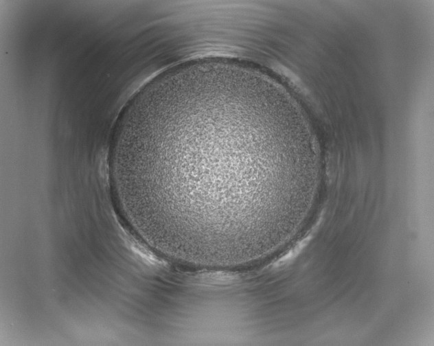 X0000076061113200609291218