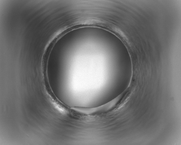 X0000076061122200609291218