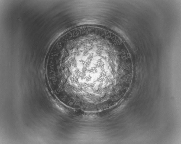 X0000076061129200609291218