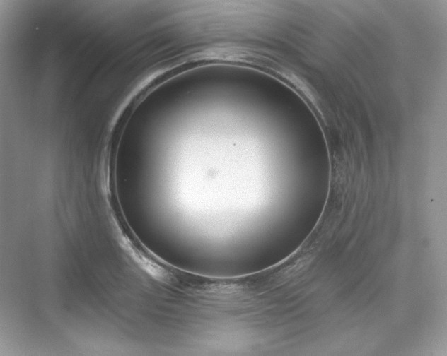 X0000076061131200609291218