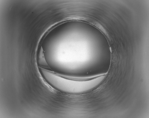 X0000076061132200609291218