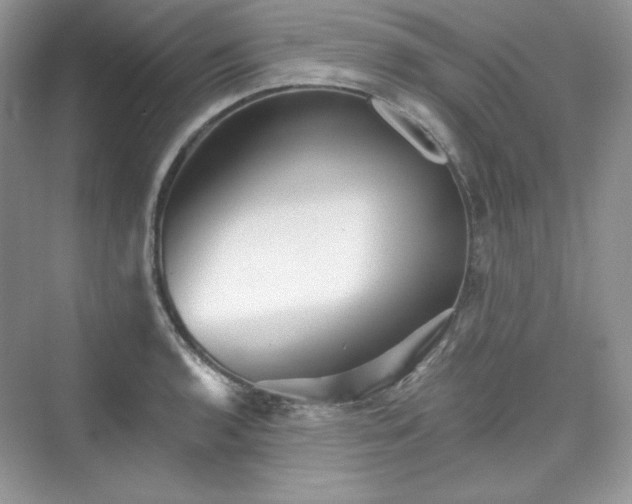 X0000076061136200609291218