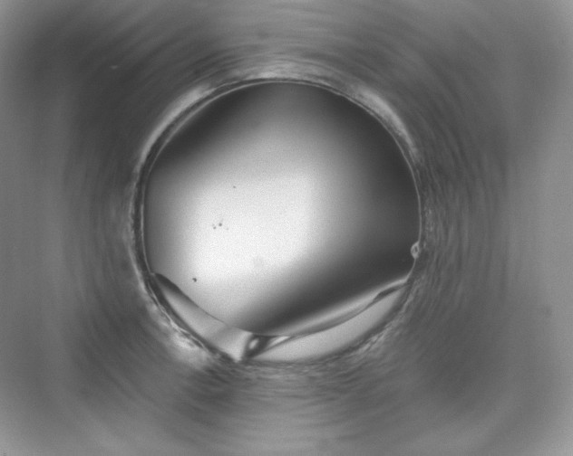X0000076061138200609291218