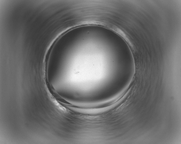 X0000076061140200609291218