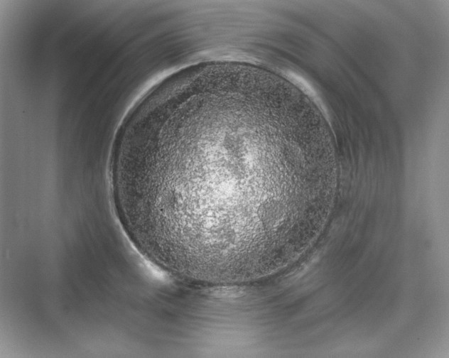 X0000076061141200609291218