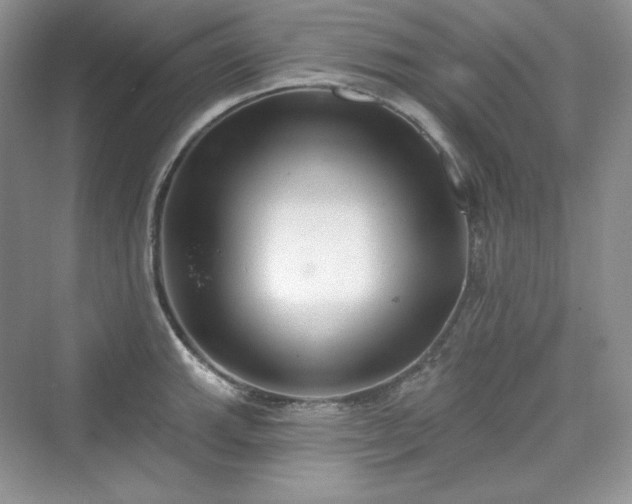 X0000076061143200609291218