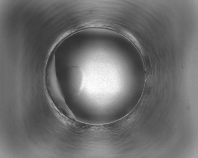 X0000076061146200609291218