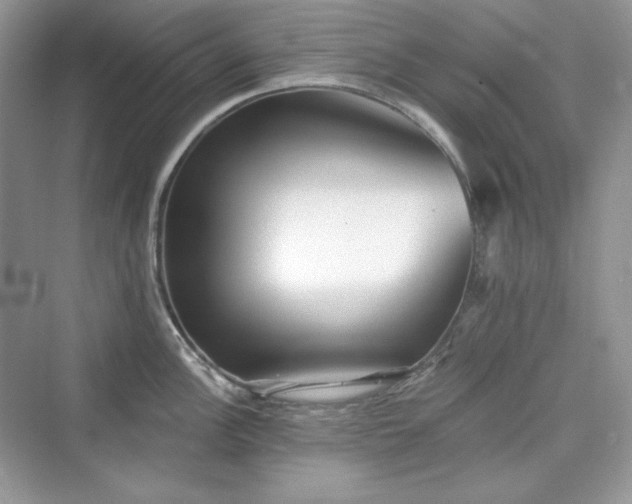X0000076061148200609291218