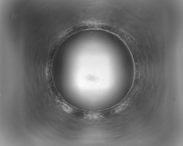 X0000076061157200609291218